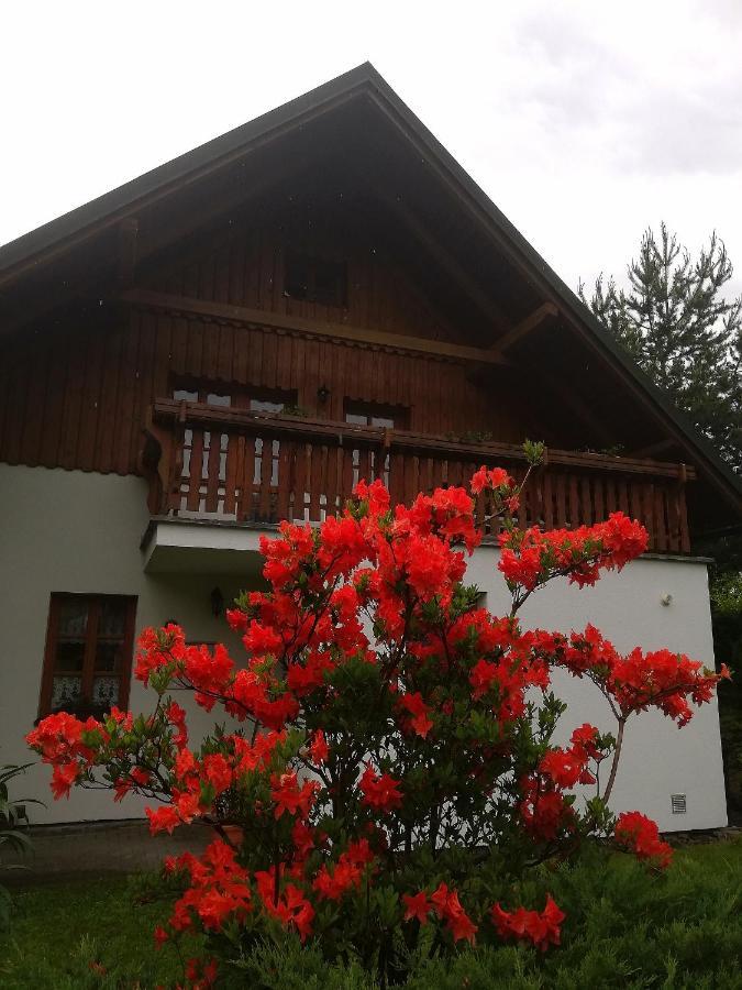 Apartmany 670 Pod Lysou Horou Rokytnice nad Jizerou Exterior foto